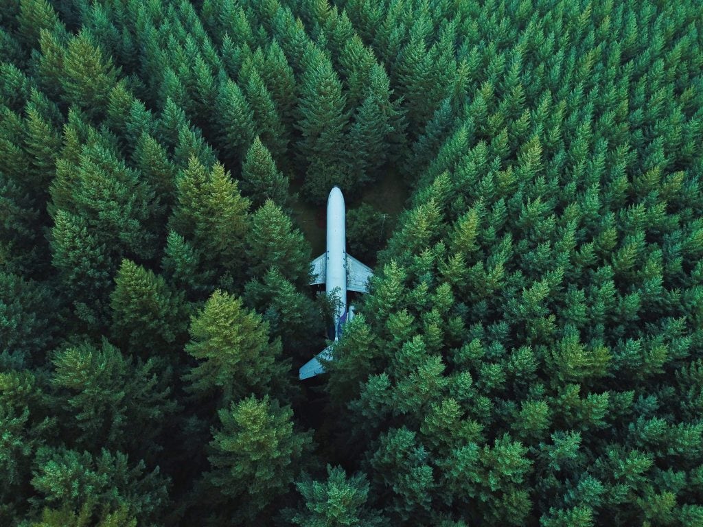 High shot of an abandoned plane nestled among trees in a forest.