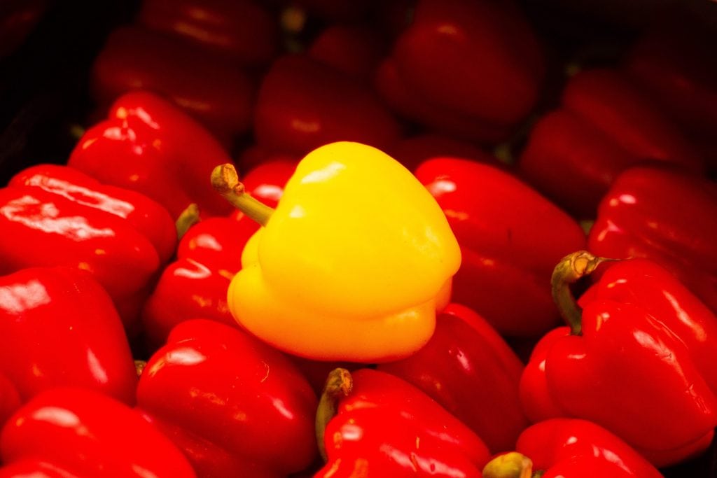 Four rows of red peppers with a single yellow pepper lying on top of the pile.