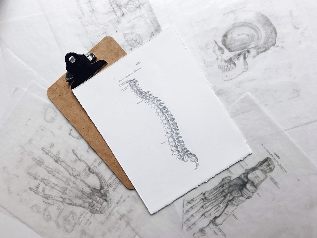 Clipboard with clinical diagram of the spine attached to it.