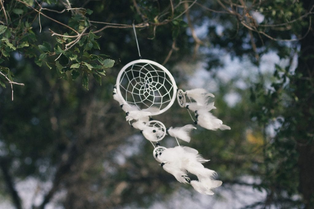 Dreamcatcher hanging from a tree, blowing in the wind.