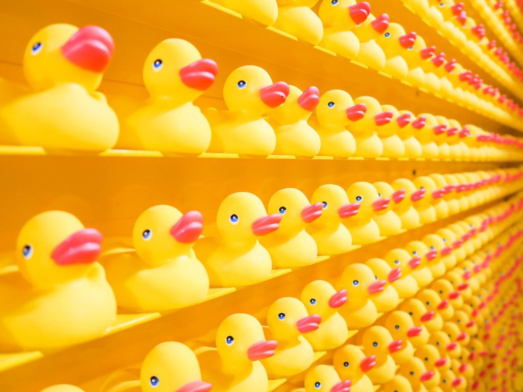 Multiple rows of yellow rubber ducks.